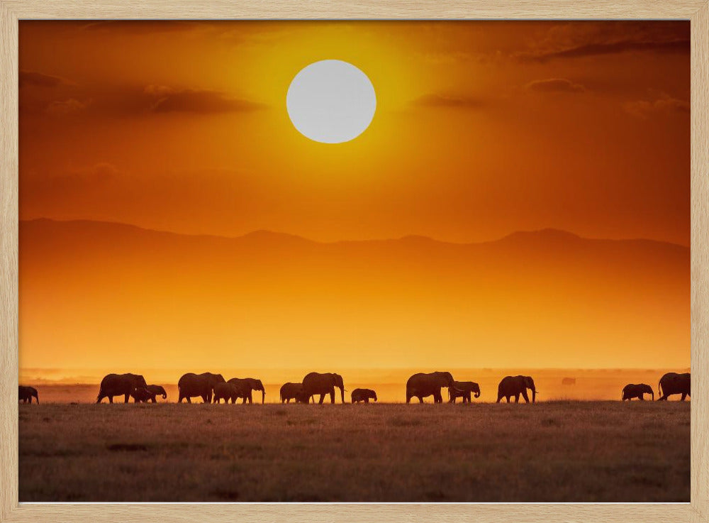 Sonnenaufgangsparade | Poster
