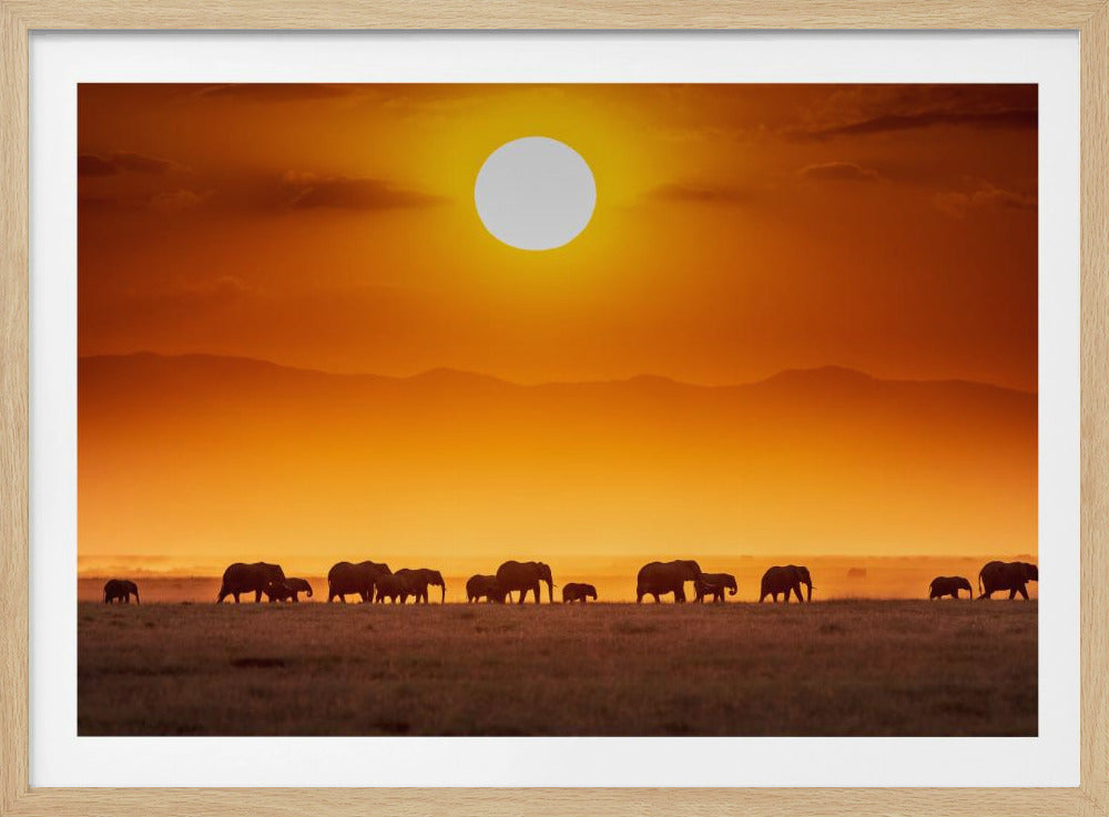 Sonnenaufgangsparade | Poster