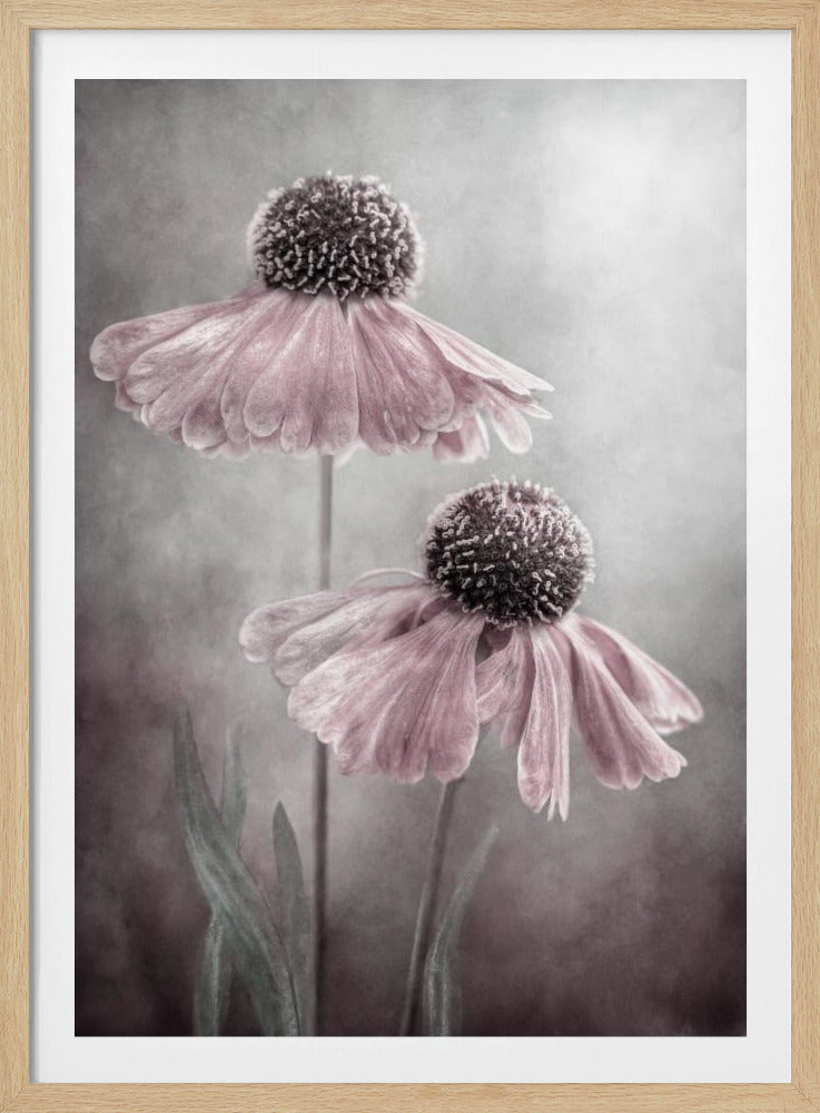 Duett | Poster