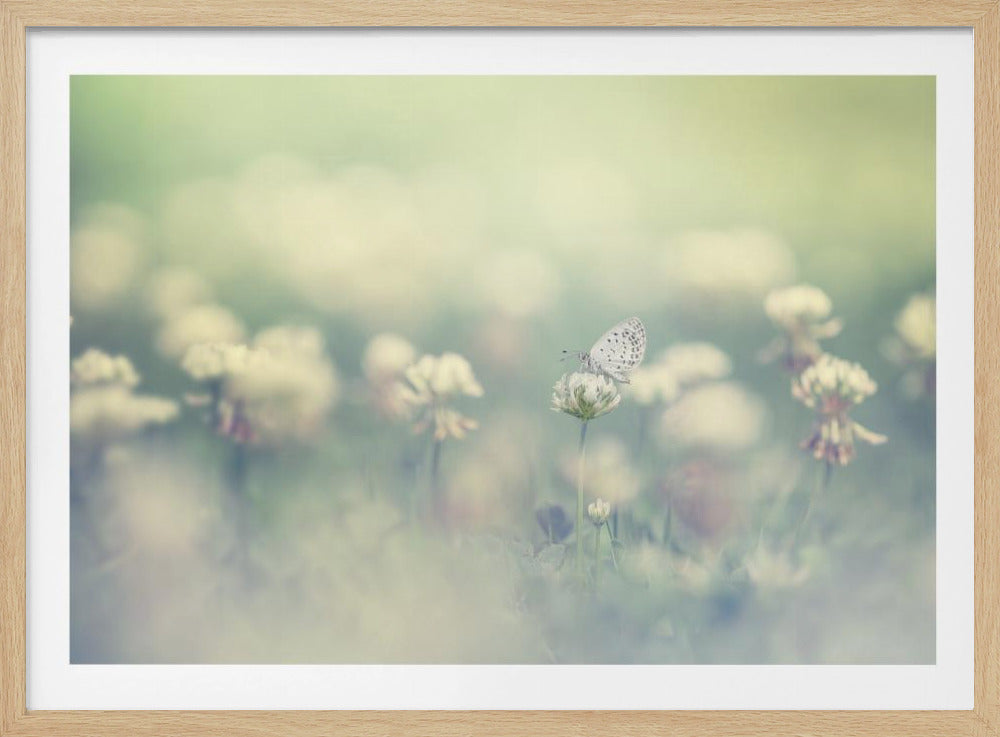 kleine Welt | Poster