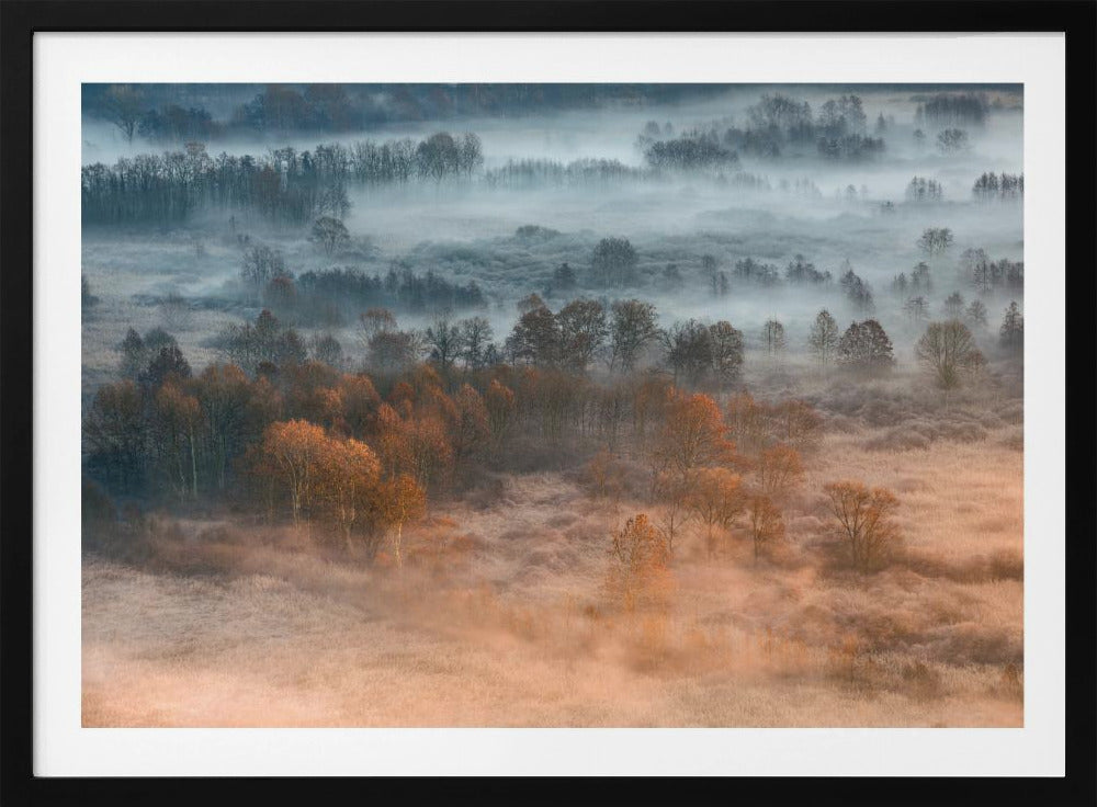 Herbstliche neblige Morgendämmerung | Poster