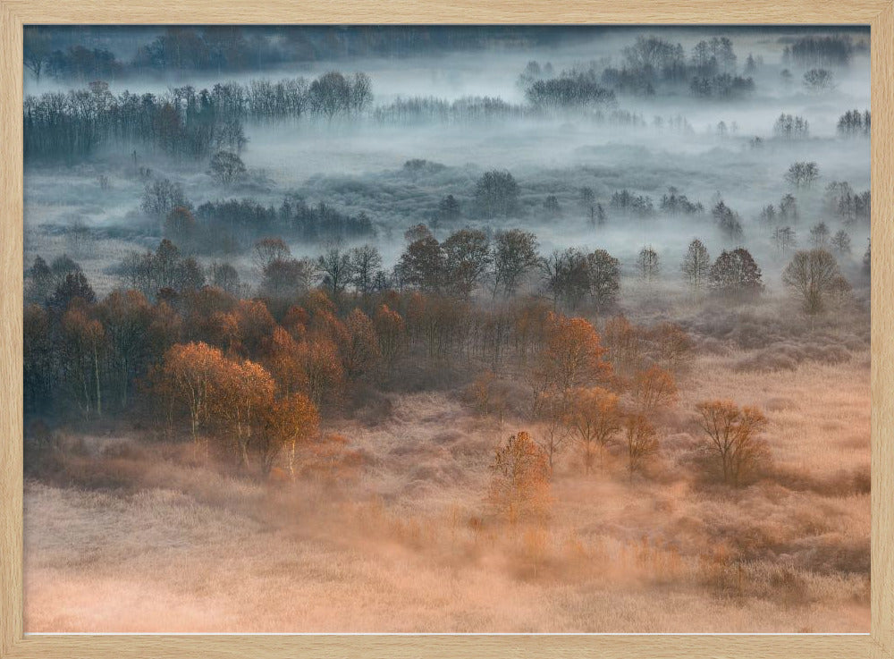 Herbstliche neblige Morgendämmerung | Poster