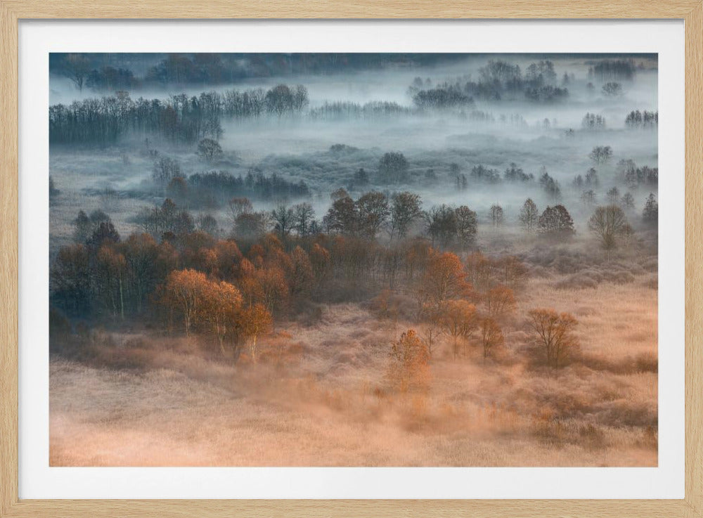 Herbstliche neblige Morgendämmerung | Poster