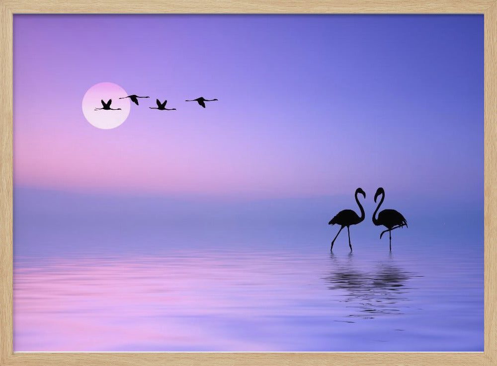 Fliegender Flamingo | Poster