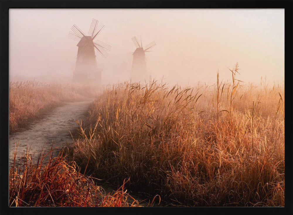 Morgennebel | Poster