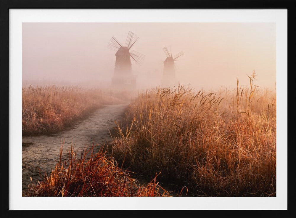 Morgennebel | Poster