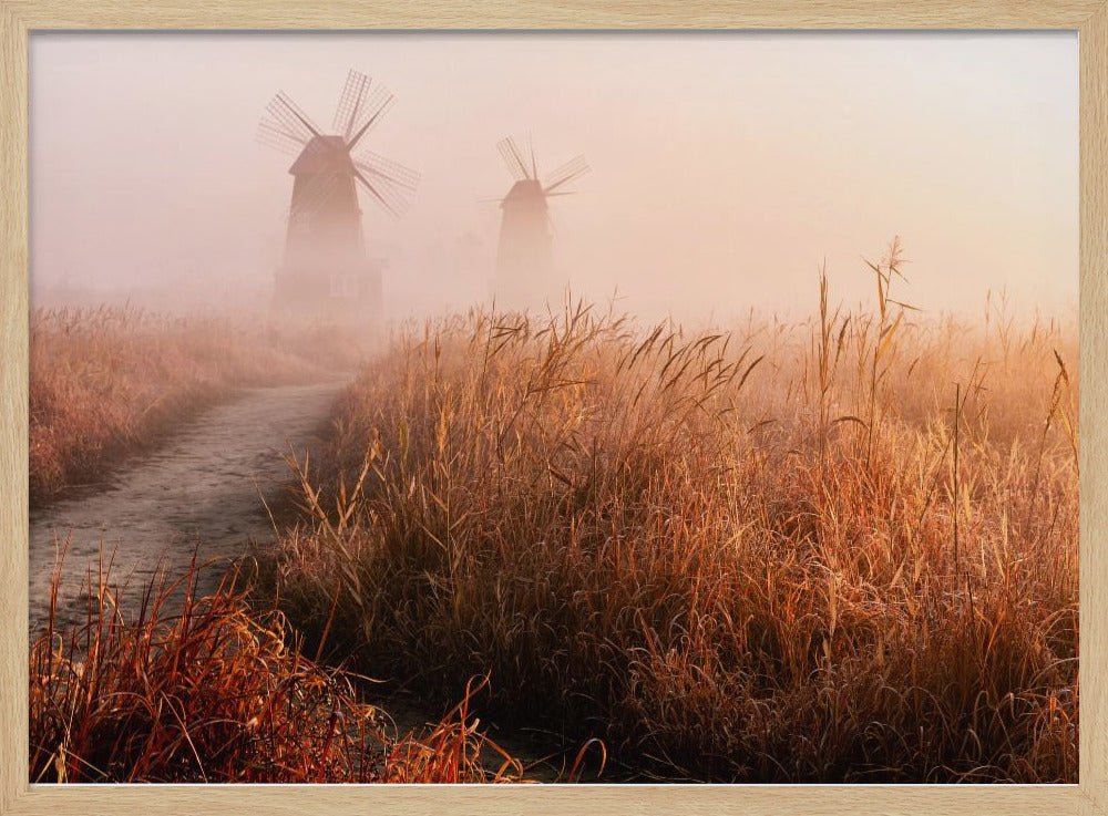 Morgennebel | Poster