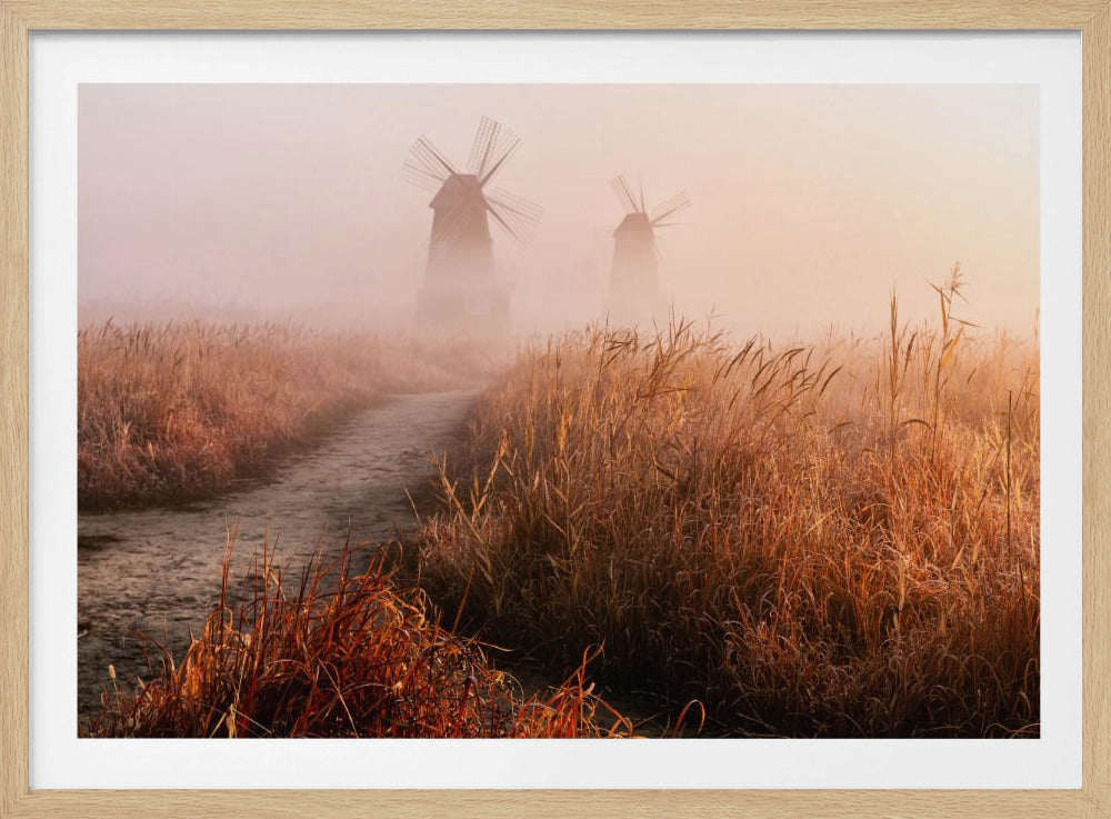 Morgennebel | Poster