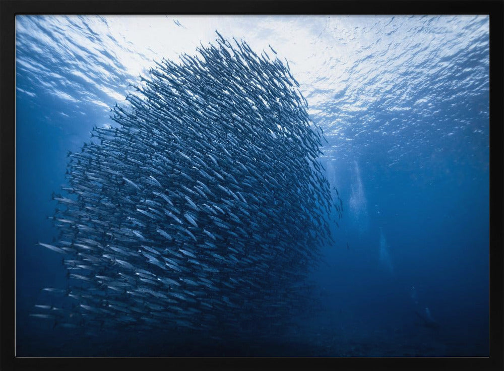 Mass giant | Poster