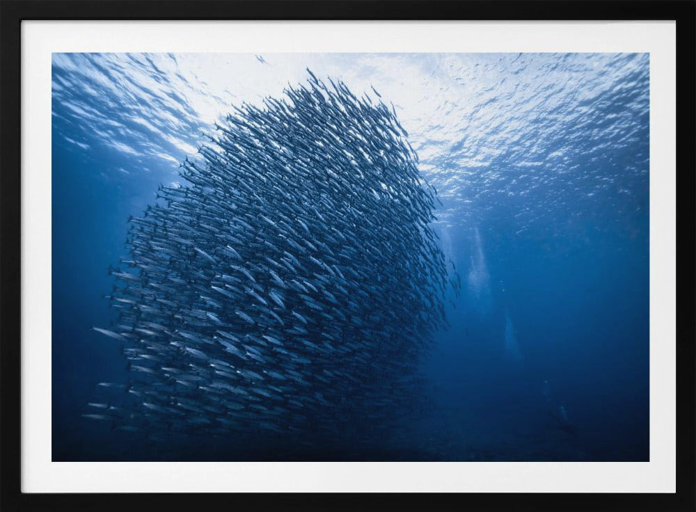 Mass giant | Poster