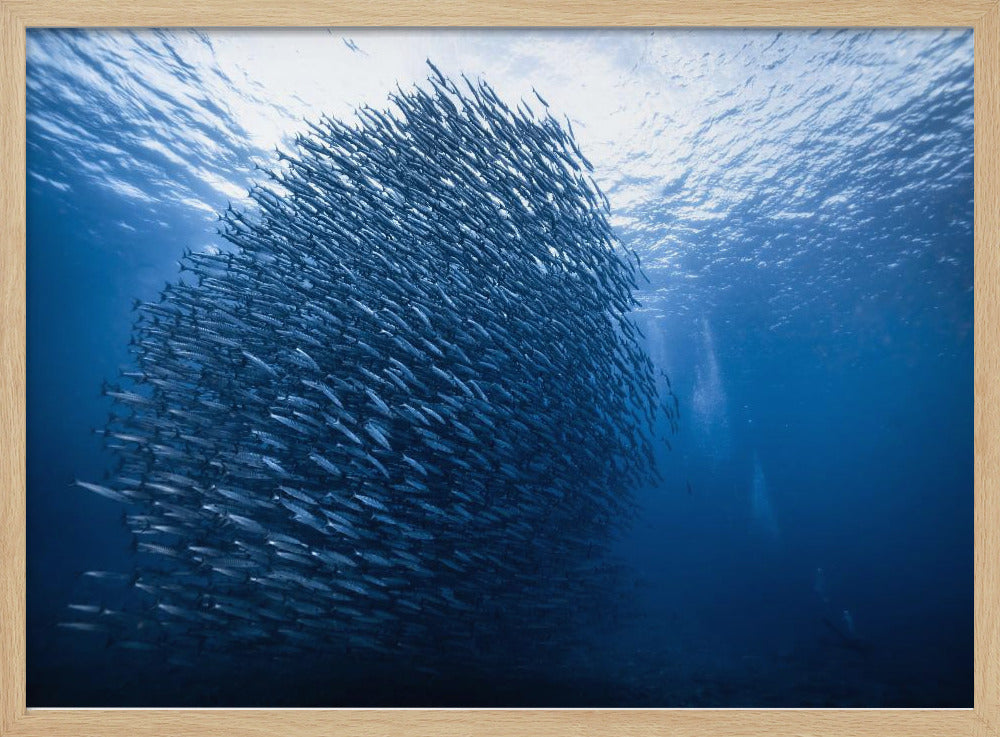 Mass giant | Poster