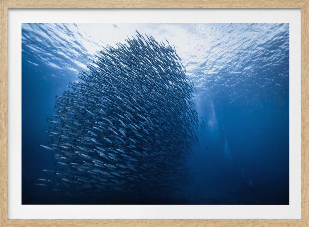 Mass giant | Poster