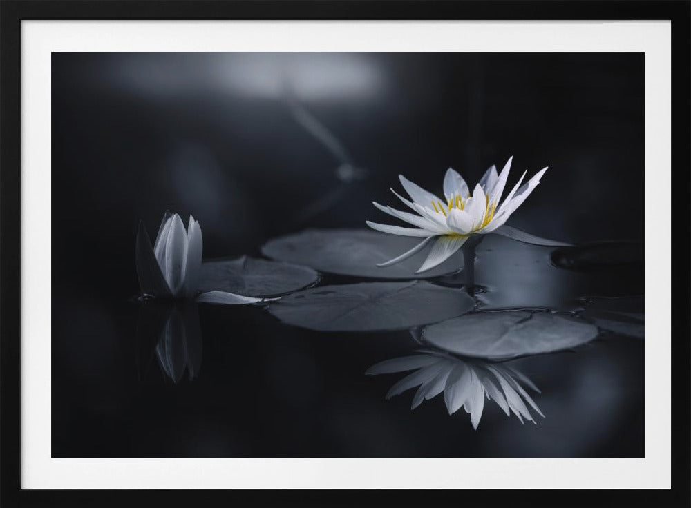 Reflexion | Poster
