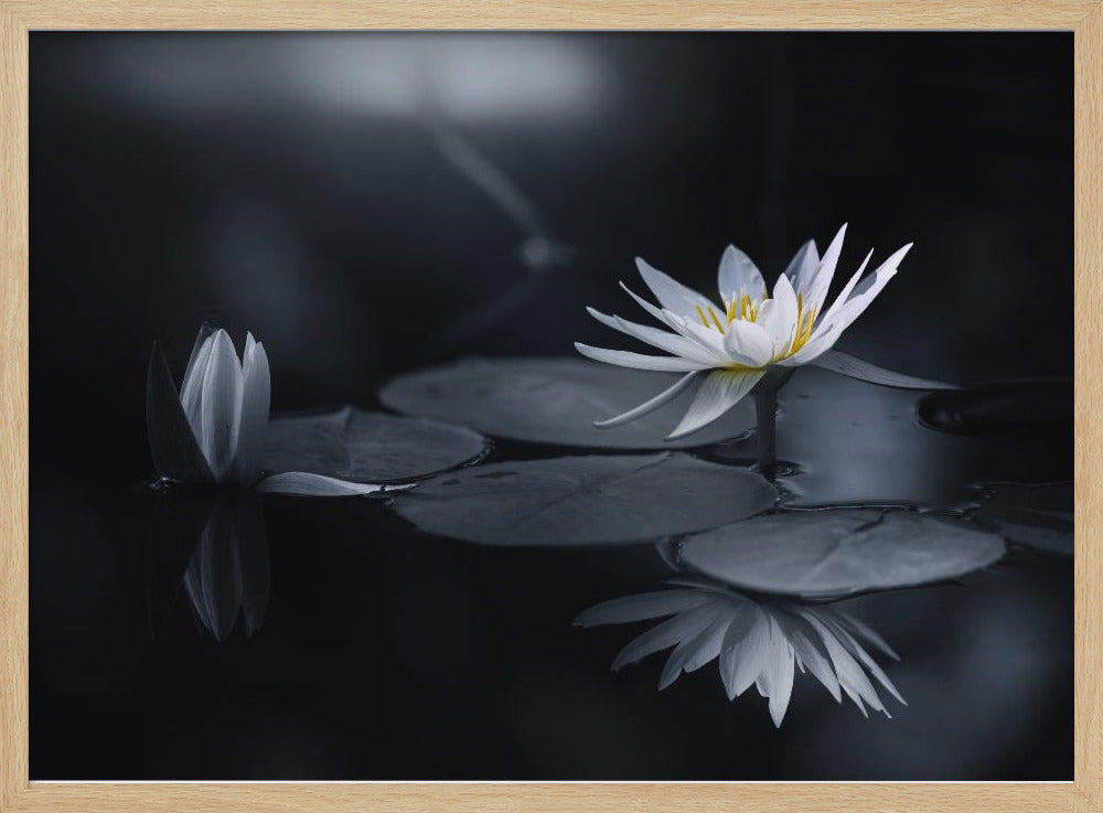 Reflexion | Poster