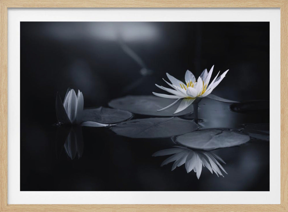 Reflexion | Poster