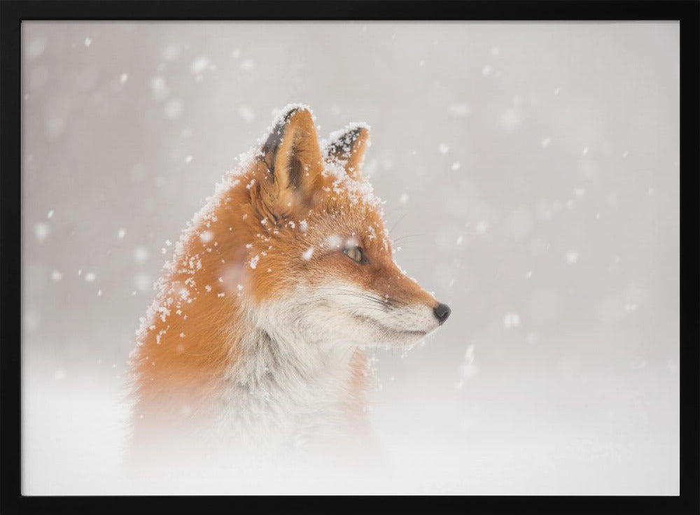 Es schneit… | Poster