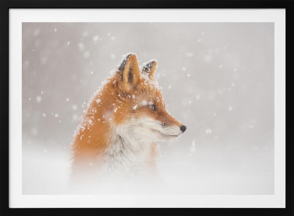 Es schneit… | Poster