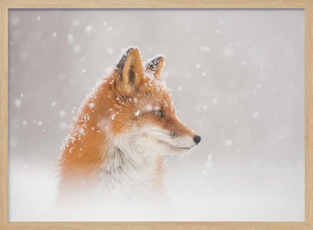 Es schneit… | Poster