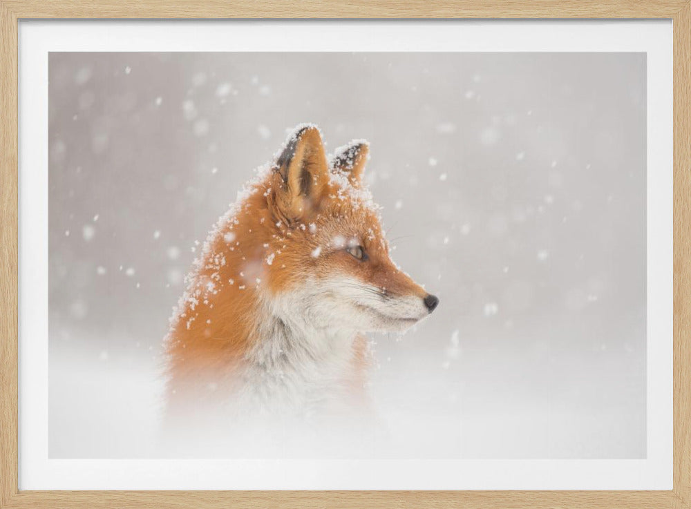 Es schneit… | Poster