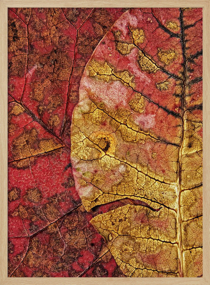 Sterbendes Blatt | Poster