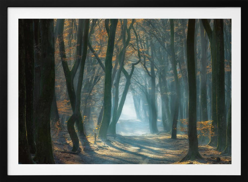 Kaltes Licht | Poster