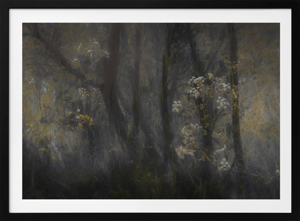 Wiesenkerbel | Poster