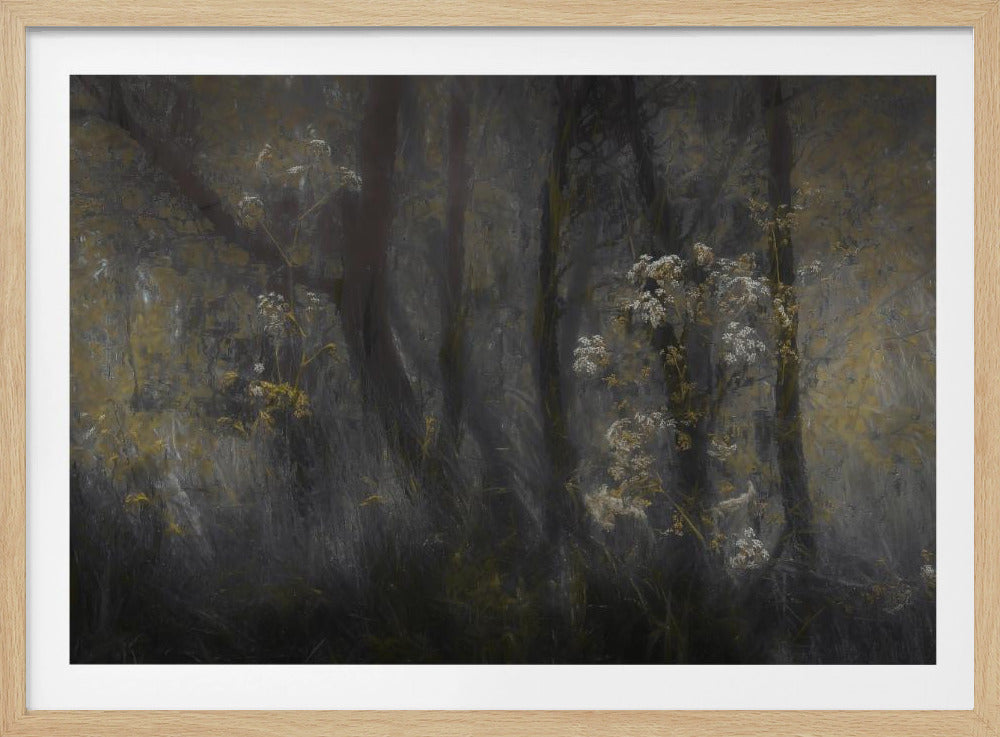 Wiesenkerbel | Poster