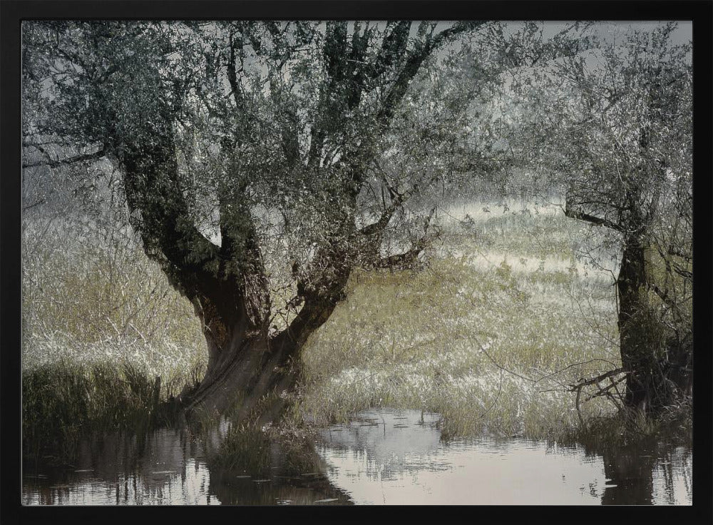 Am Wasserufer | Poster