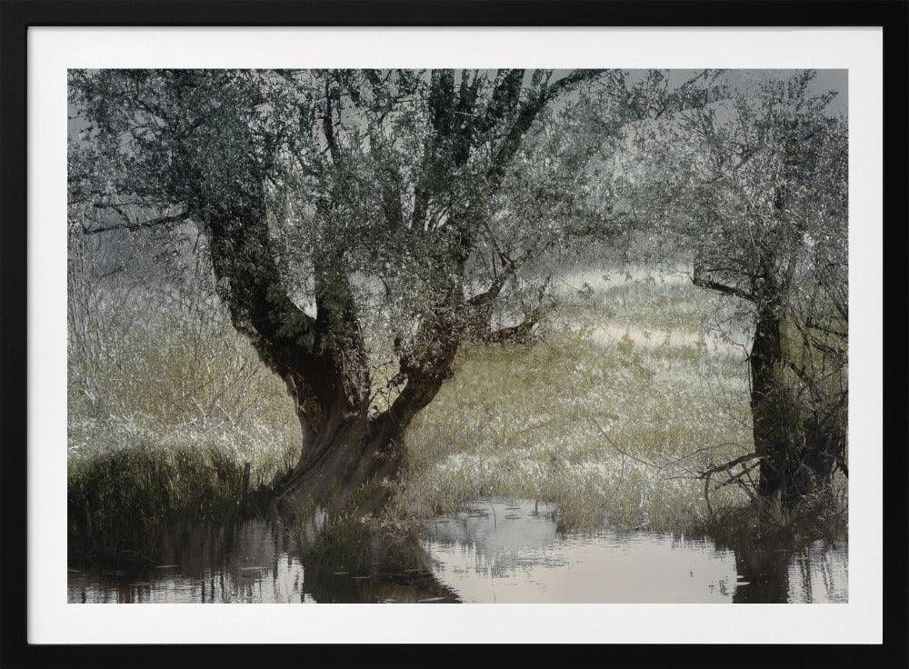 Am Wasserufer | Poster
