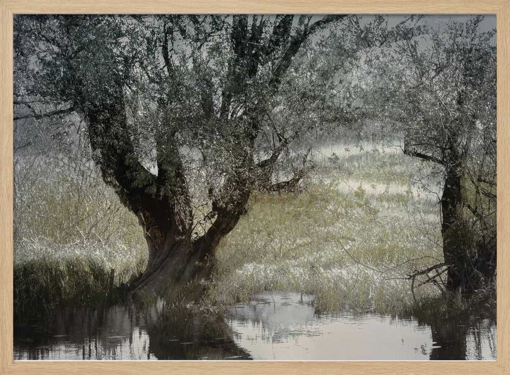 Am Wasserufer | Poster