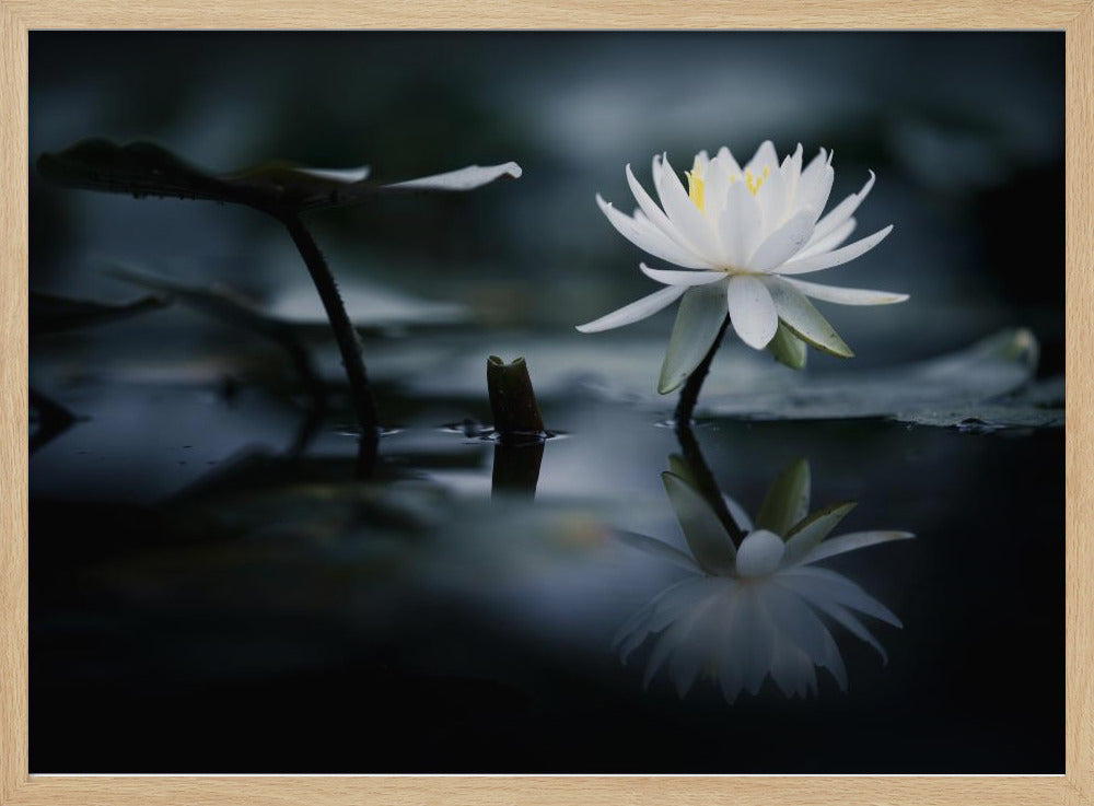 Reflexion | Poster