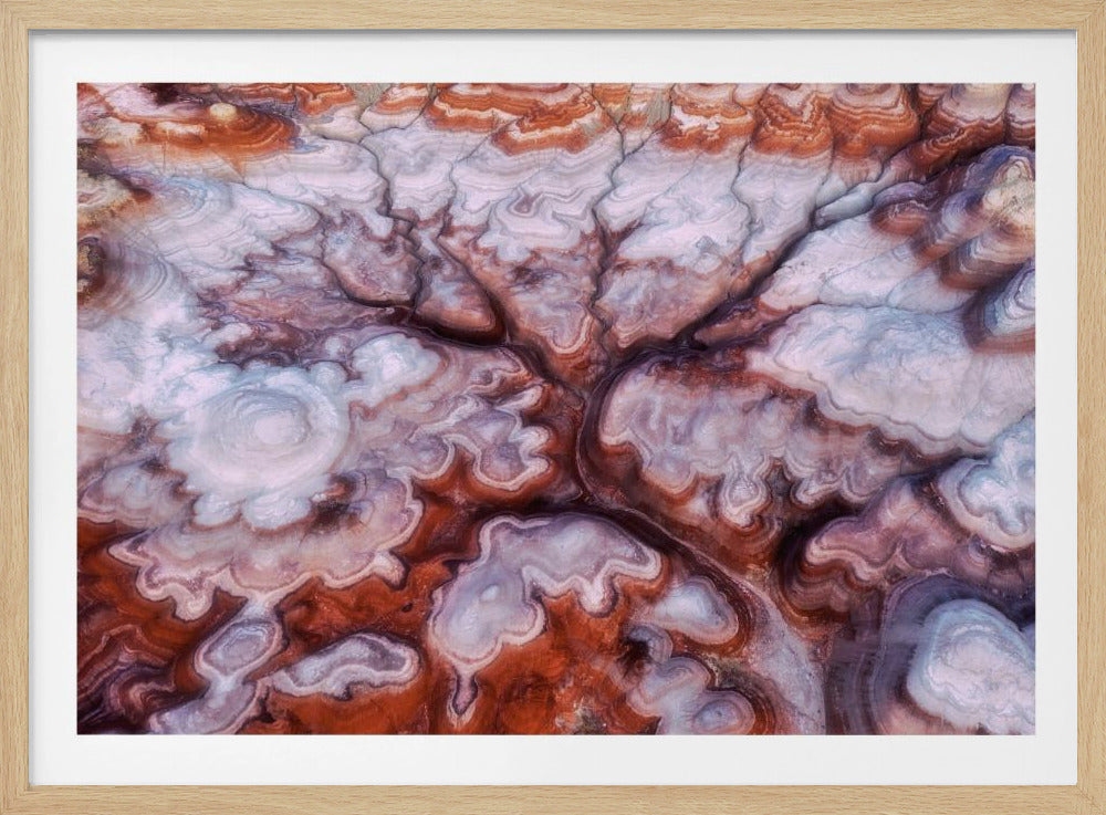 Ein Baum in der Wüste | Poster