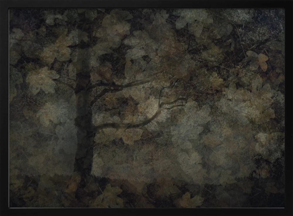 Dark forest | Poster