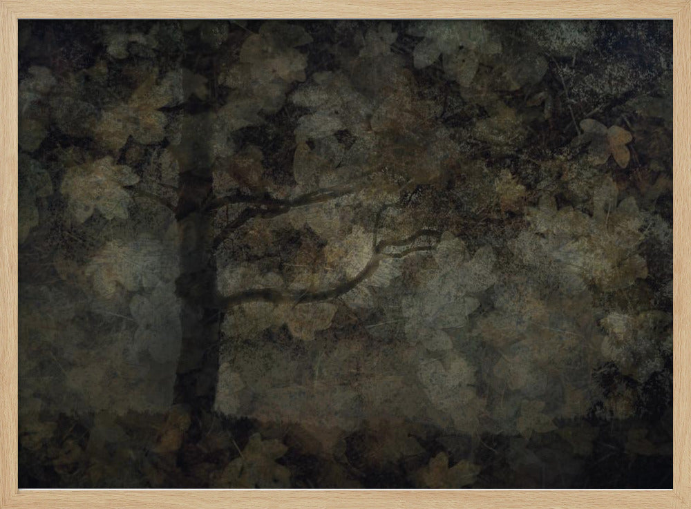 Dark forest | Poster
