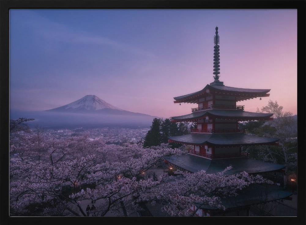 Fuji Sakura | Poster
