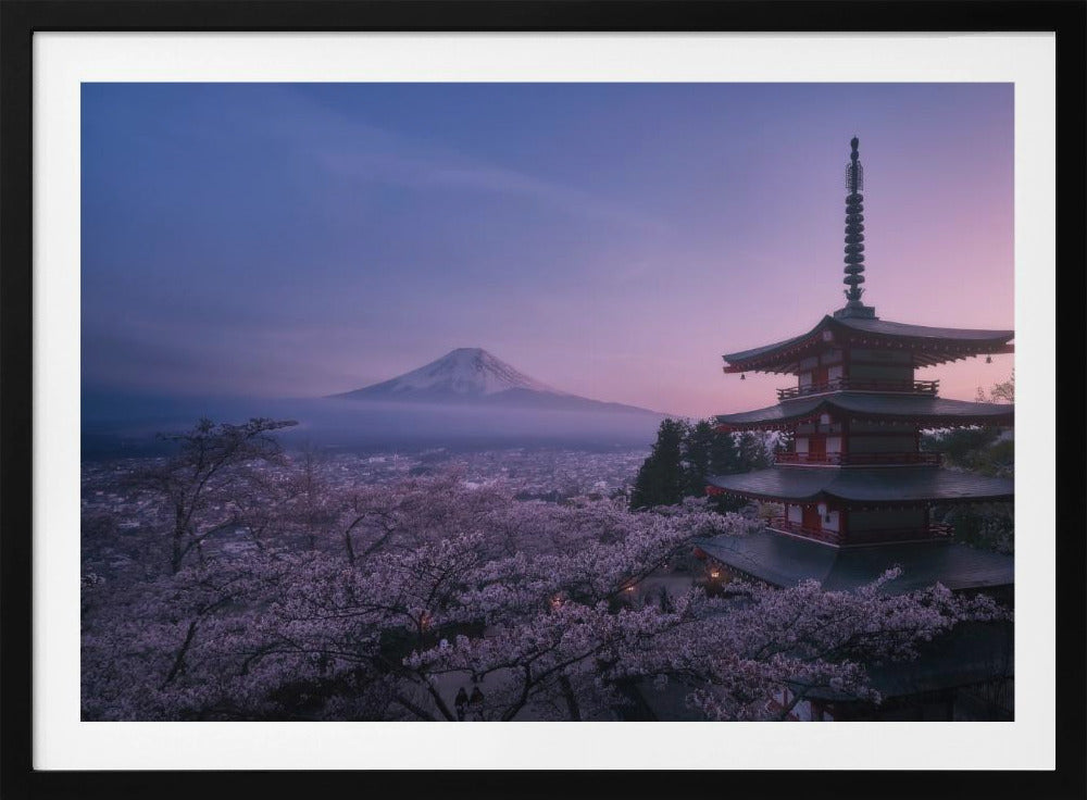 Fuji Sakura | Poster