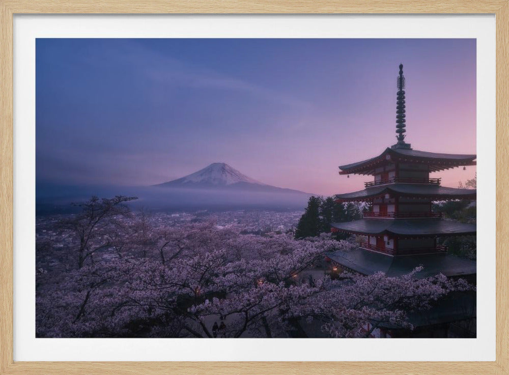 Fuji Sakura | Poster