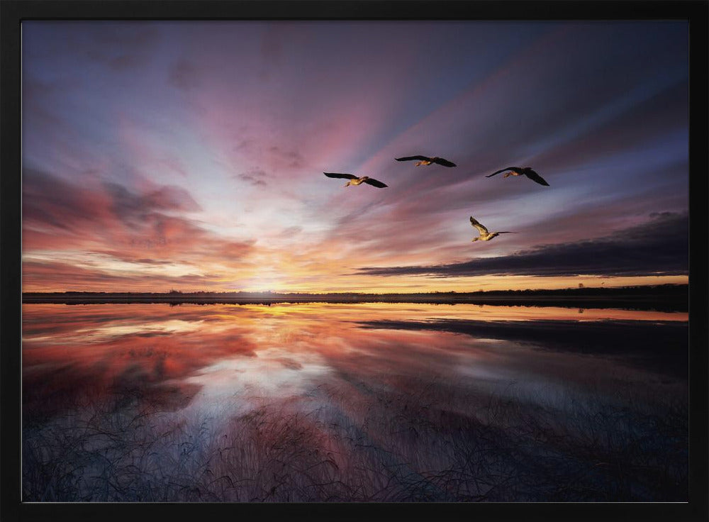 Morgenstimmung.. | Poster