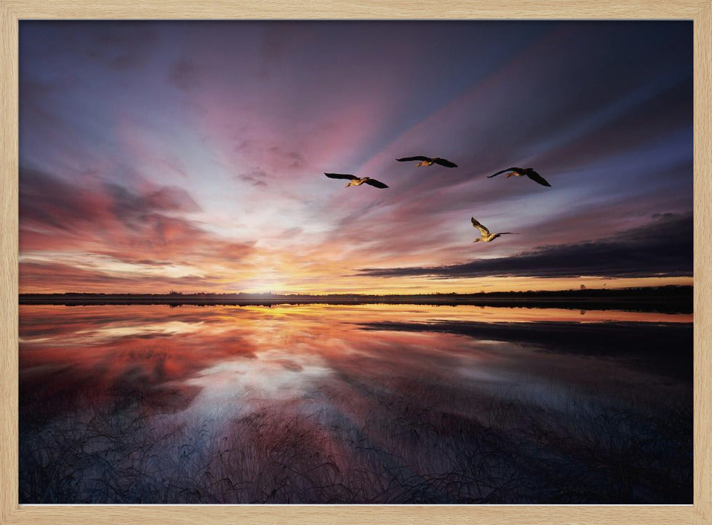 Morgenstimmung.. | Poster