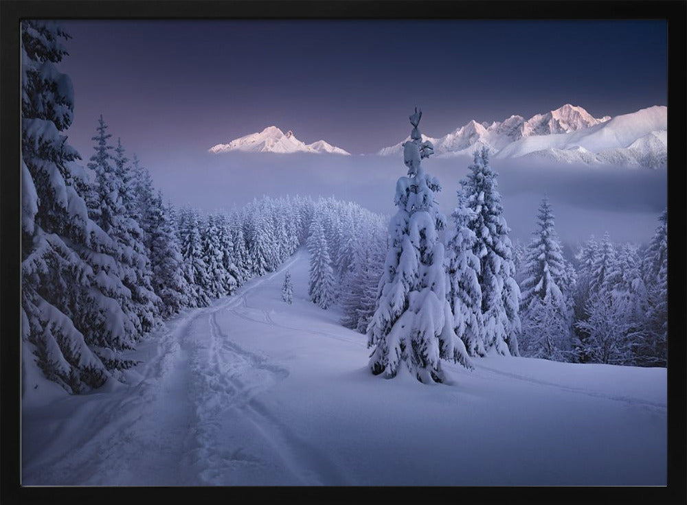 Im Winter | Poster
