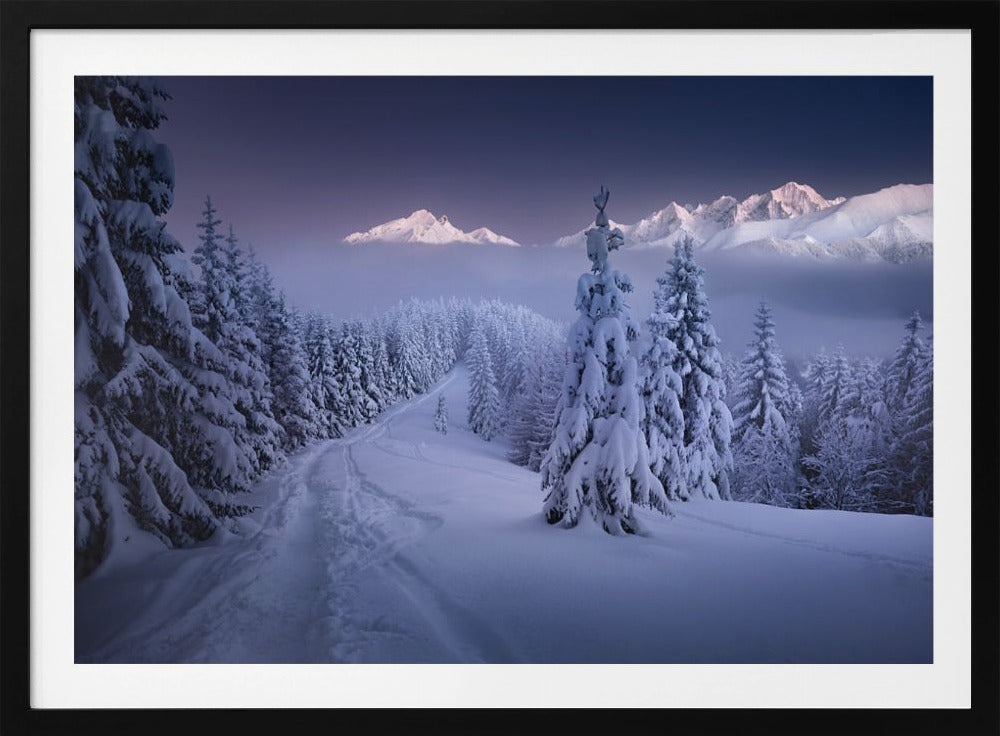 Im Winter | Poster