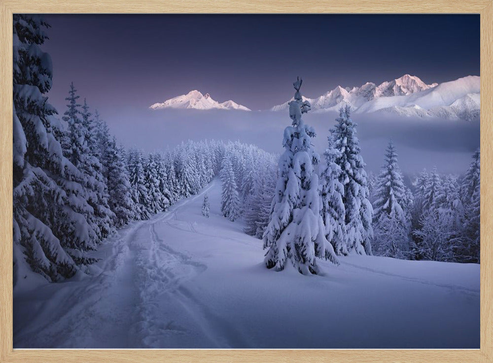 Im Winter | Poster