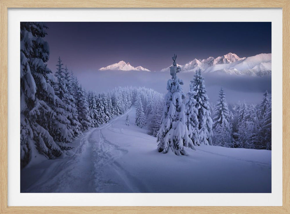 Im Winter | Poster