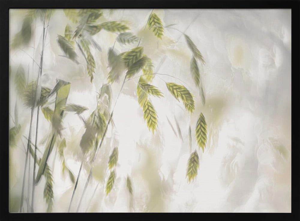 Grass blades | Poster