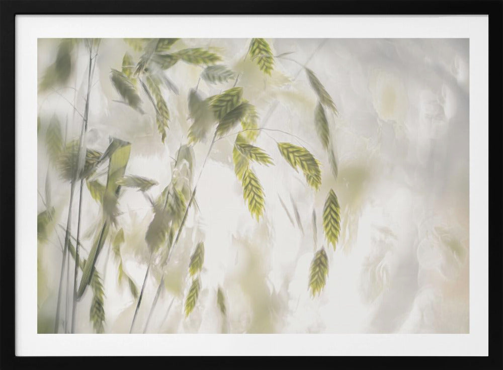 Grass blades | Poster