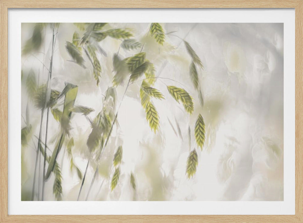 Grass blades | Poster