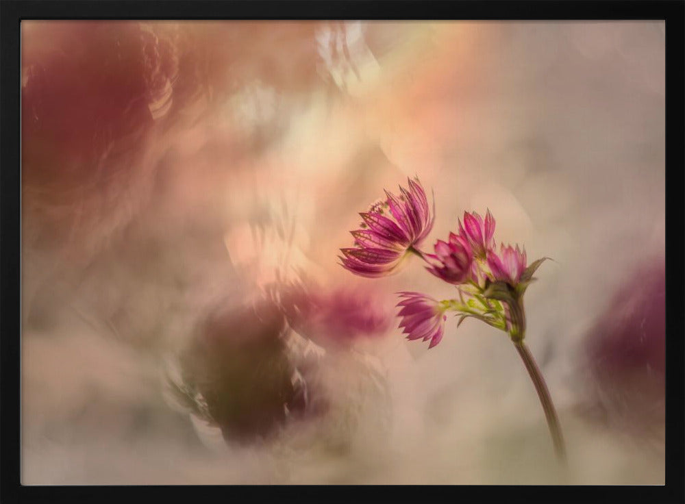 Soft and light | Poster