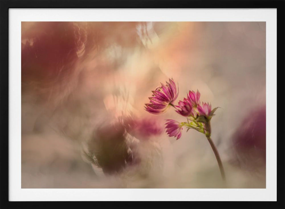 Soft and light | Poster