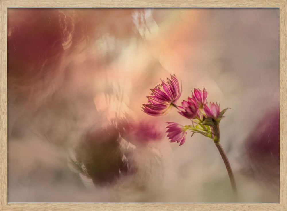 Soft and light | Poster