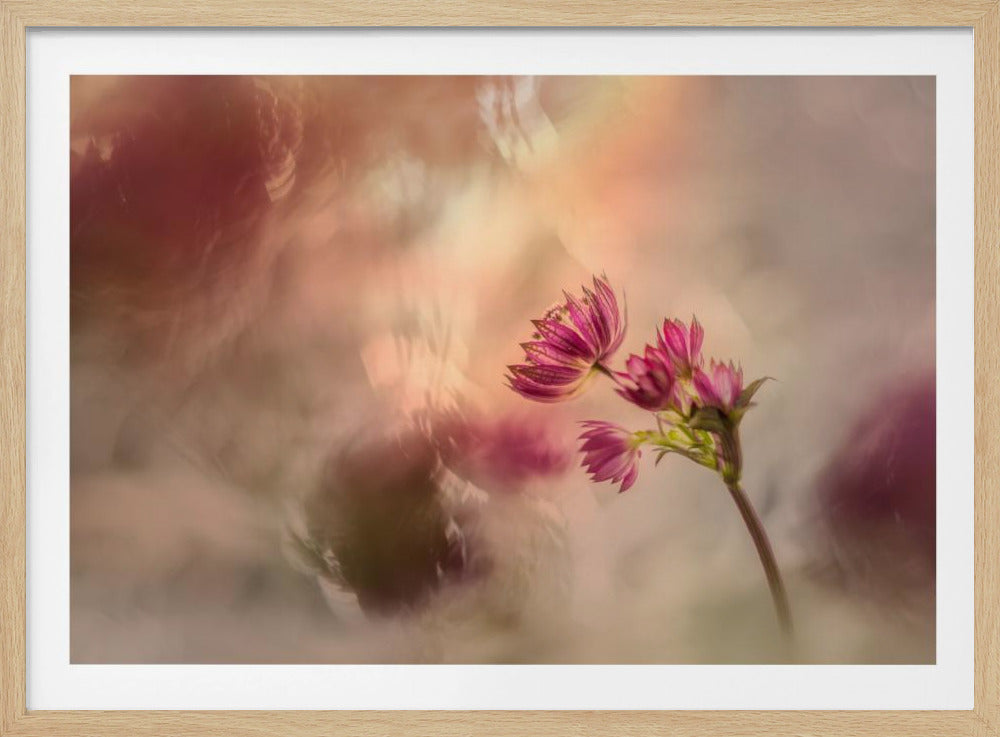 Soft and light | Poster